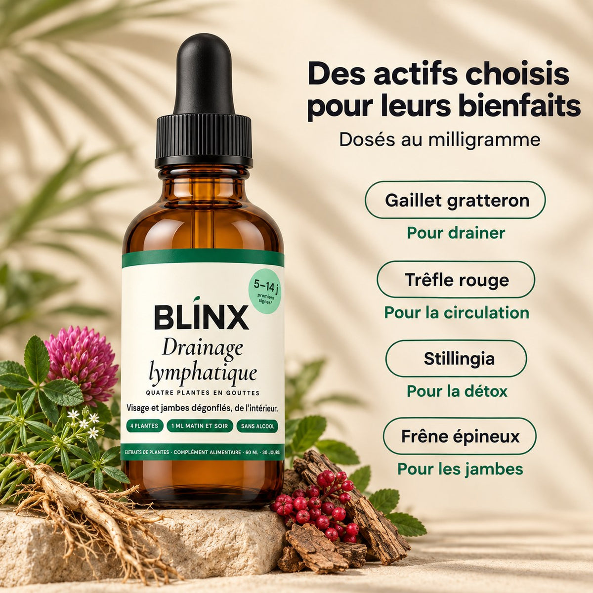 Blinx Drainage lymphatique : les actifs dosés