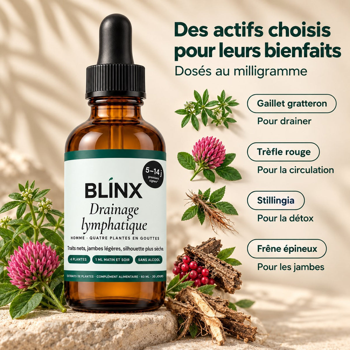 Blinx Drainage lymphatique Homme : les actifs dosés