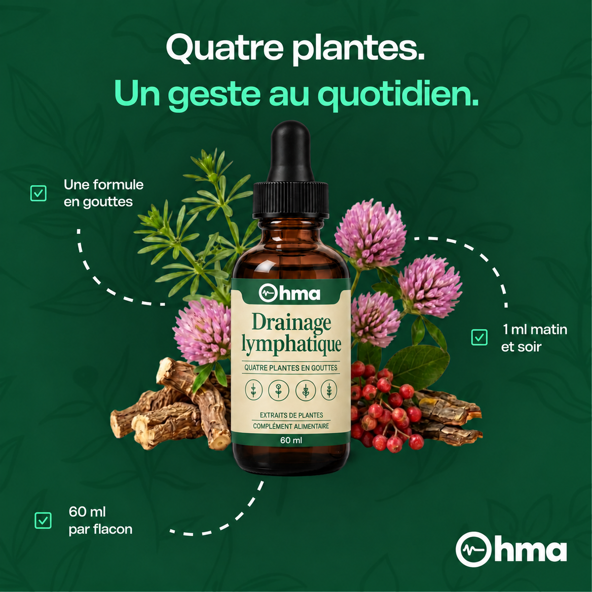 Quatre plantes, un geste au quotidien
