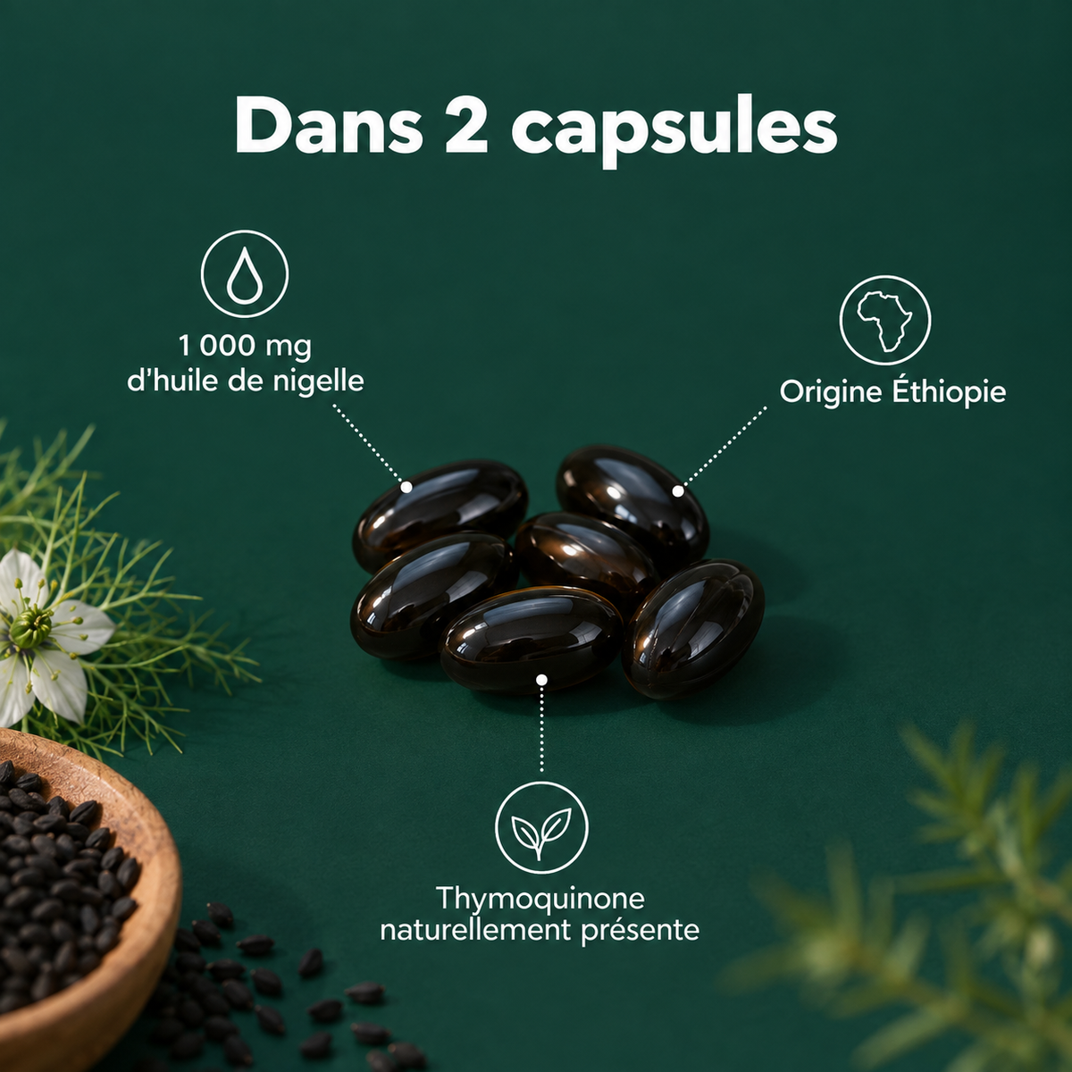 Dans 2 capsules : 1 000 mg d'huile de nigelle d'Éthiopie